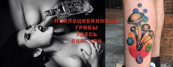твердый Михайлов