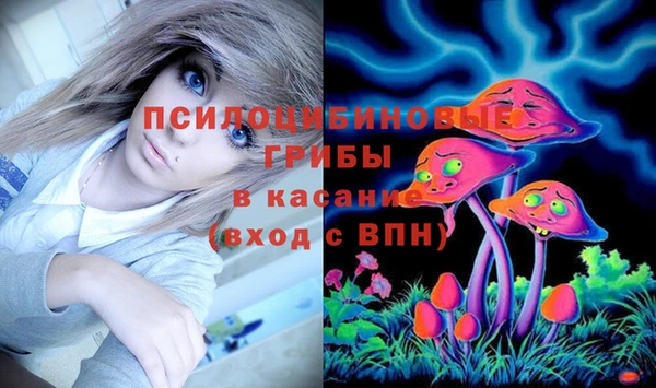 твердый Михайлов
