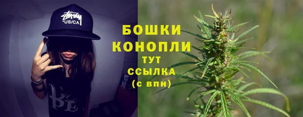 ПСИЛОЦИБИНОВЫЕ ГРИБЫ Михайловск