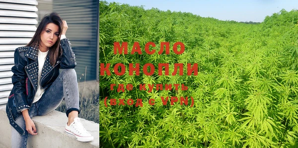 твердый Михайлов