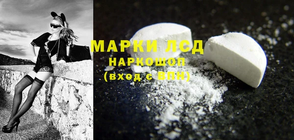 твердый Михайлов
