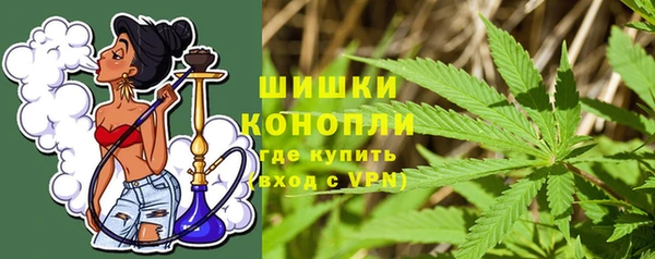 ешки Вяземский