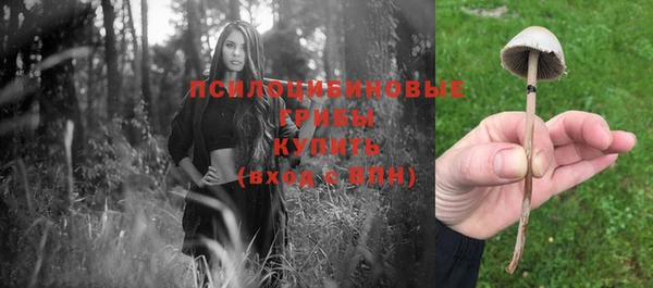 Альфа ПВП Михайловка