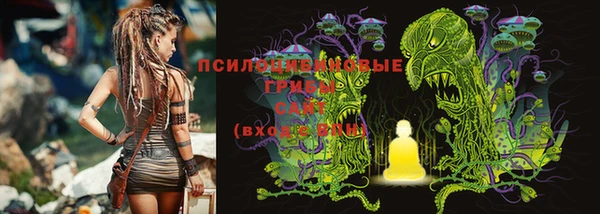 Альфа ПВП Михайловка