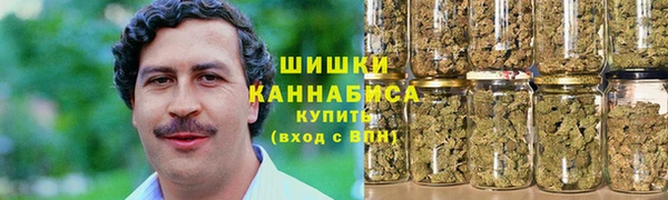 ПСИЛОЦИБИНОВЫЕ ГРИБЫ Михайловск