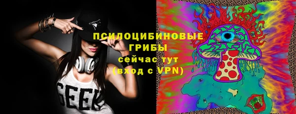 твердый Михайлов