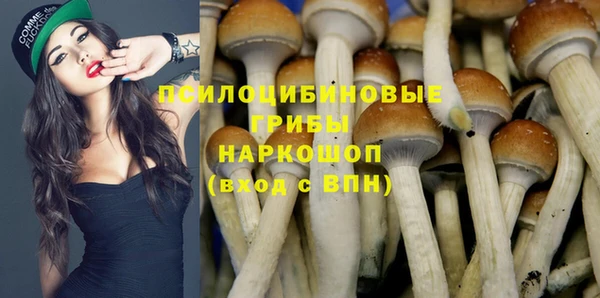 ПСИЛОЦИБИНОВЫЕ ГРИБЫ Михайловск
