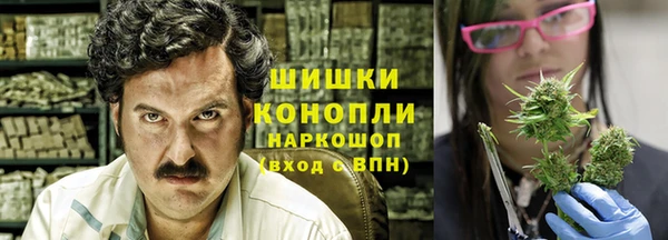 твердый Михайлов