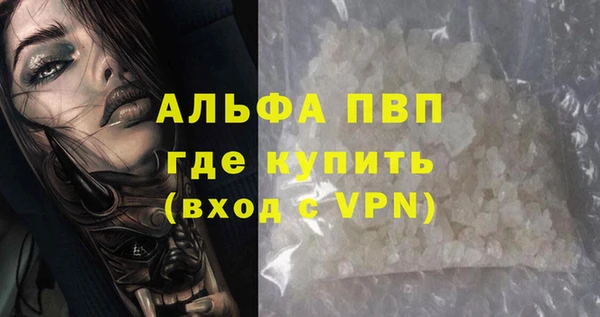 твердый Михайлов