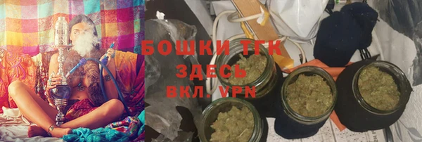 твердый Михайлов